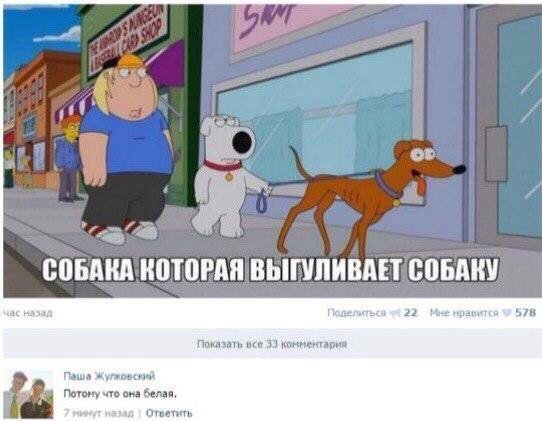Прикольные картинки обо всем