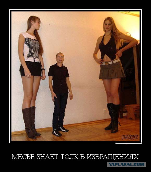 Как думаете, сколько стоит?