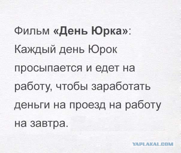 Прикольные картинки.