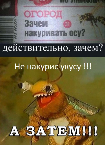 Канада. После легализации Марии Ивановны :) 18+!
