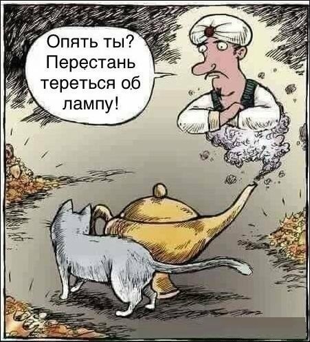 Анекдоты, соц-сети и картинки с надписями