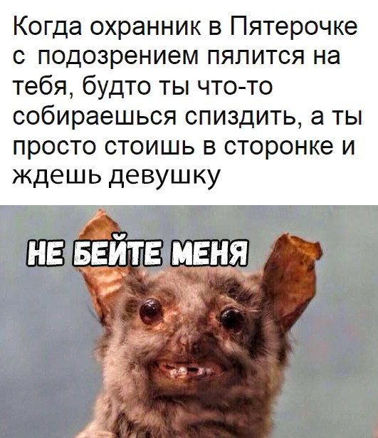 Немного картинок на вечер