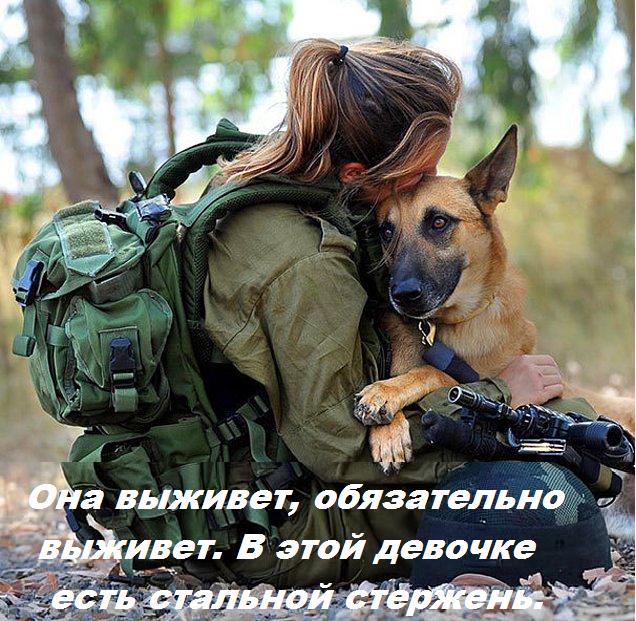 Пес Апокалипсиса. Питомник. И многое другое