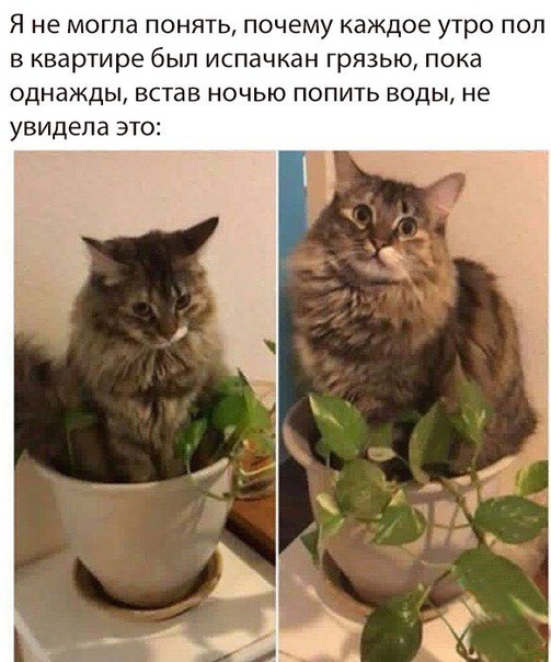 «Картинки разные нужны, картинки разные важны» 21.09