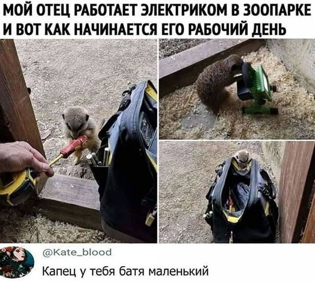Прикольные комментарии и высказывания из соцсетей 06.01.20