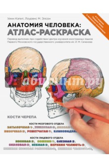Что получает мужчина в официальном браке?