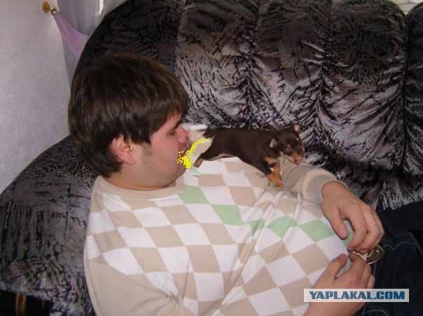 Фотожаба: Будь осторожен, маленький песик!