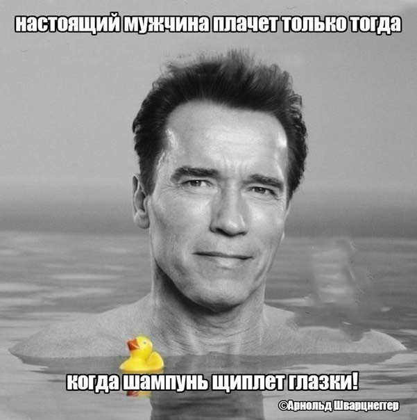 Фотки и картинки: юморные и красивые, забавные и милые 21.10.20