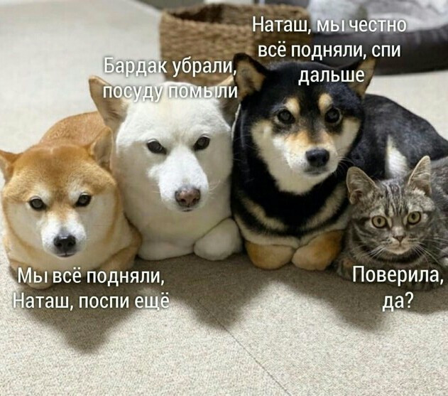 Мемы про Наташу