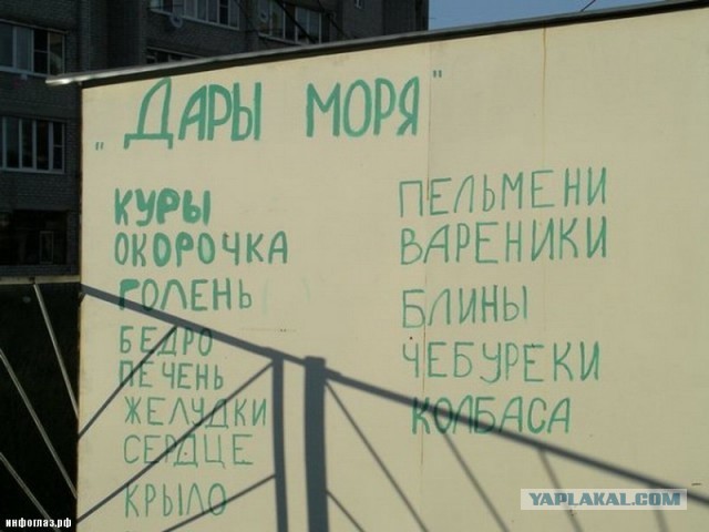 Перлы 08.02.2021