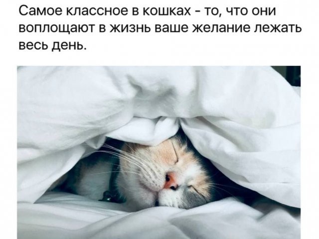 Картинки и мемы для настроения 002