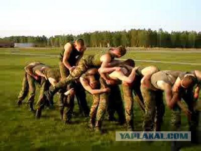 Тяни-толкай