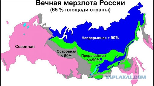 Жители «пизанского дома» Владимиру Путину: «Мы кричим SOS!»
