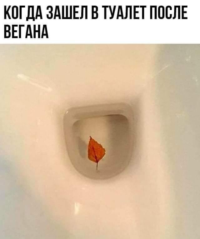 Весёлый полтишок 02.10