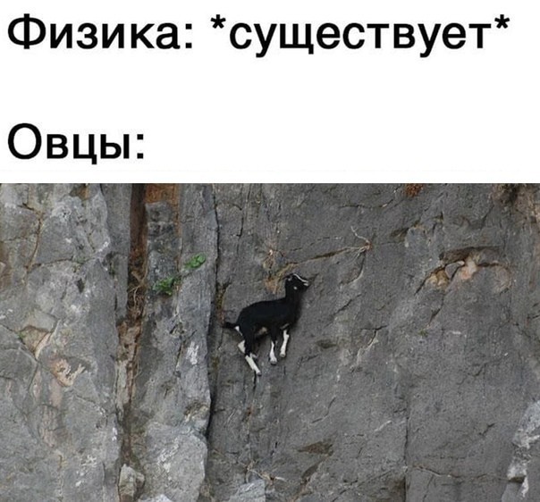 Весёлый полтишок 02.10