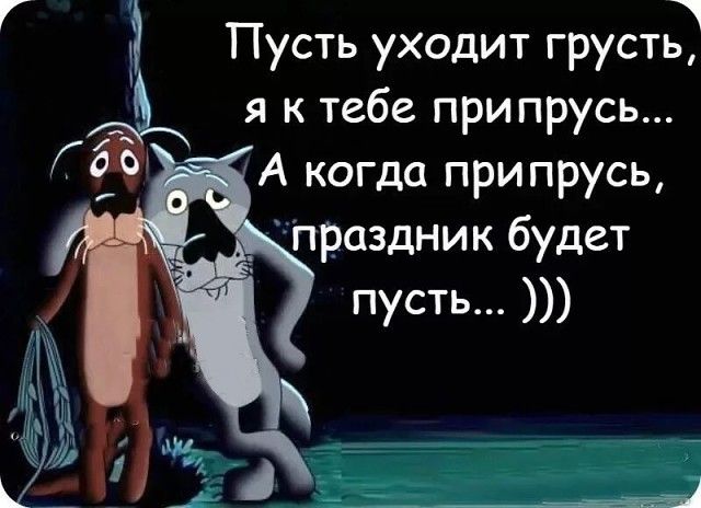 Алкопост 8.10.21