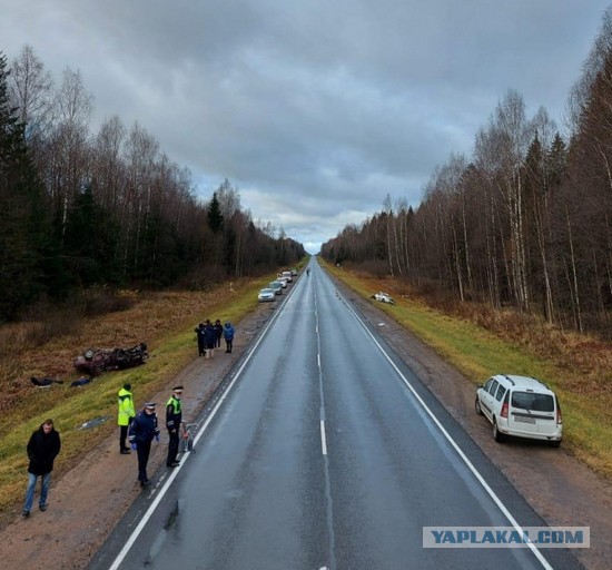 Три трупа в сегодняшнем ДТП в Тверской области