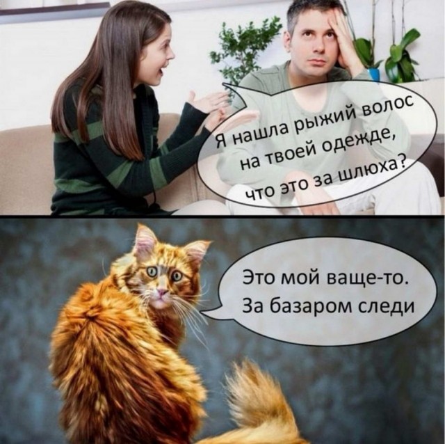 Картинки и мемы для настроения 01.11.2021