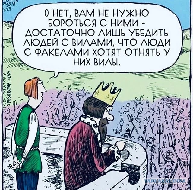 В Ростовской области люди притворяются курицей или утюгом, чтобы попасть в общественные места