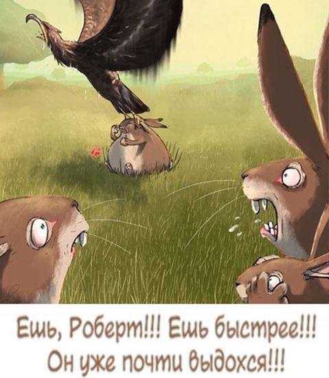 Пятница. Вечер. Картинки всякие #12