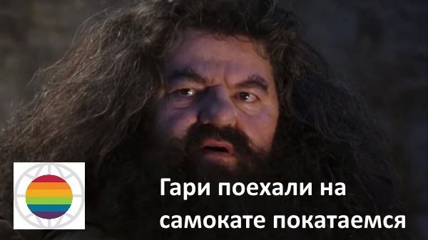 Гарри Поттер и его приключения на телеканалах