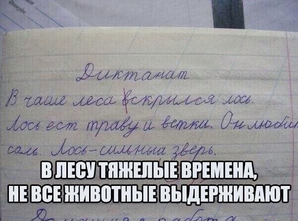Картинки и мемы, всем хороших выходных
