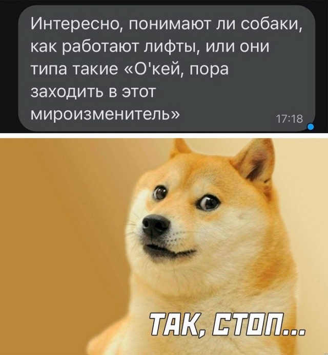 Немного картинок для настроения - 131