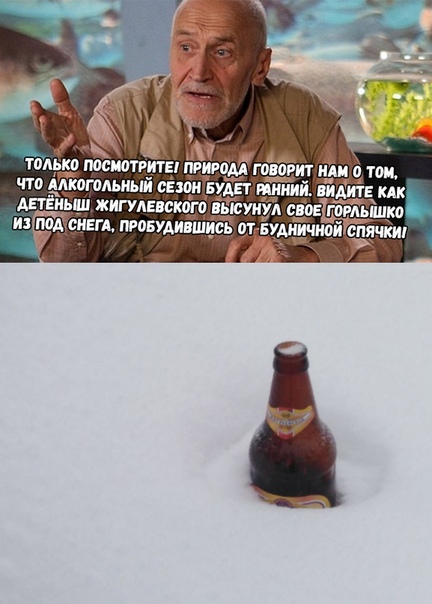 Весёлый полтишок 03.04.23