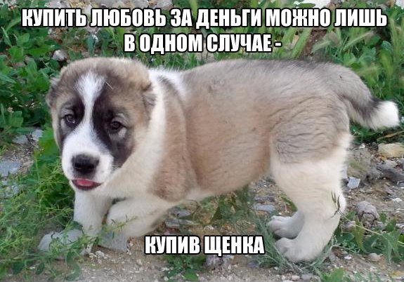 Философские картинки