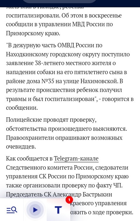 В Приморье бездомная собака напала и изуродовала ребенка, а зоозащитники написали заявление на отца, который спас сына