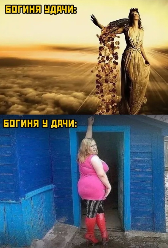 Весёлый полтишок 21.05.23