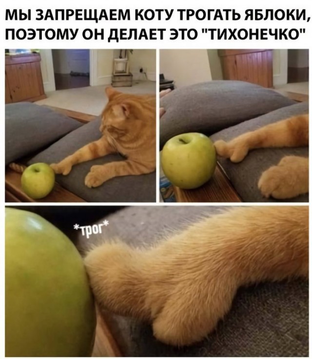 Картинки и мемы, всяко разно - 181