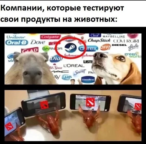 Среда пришла - неделя прошла, дорогие деграданты