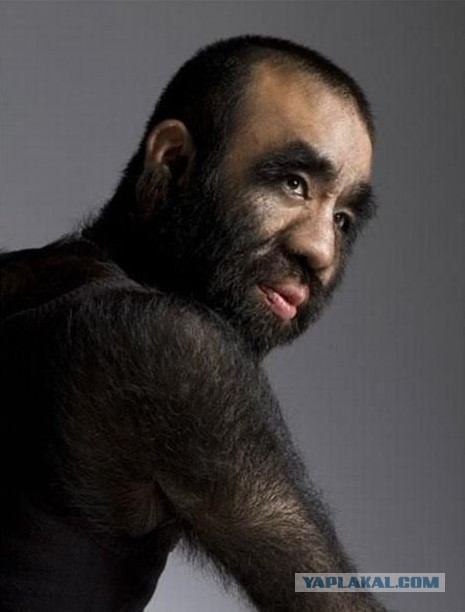 Монобровь максимального уровня