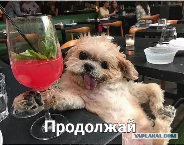 25 фото сударынь, коллеги