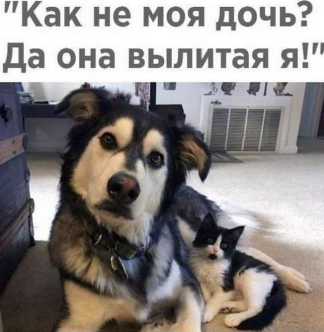 Завалялось тут случайно немного забавных картинок