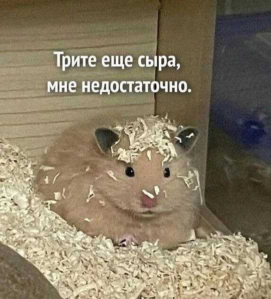 Сборник бабаянов и т.д. и т.п.