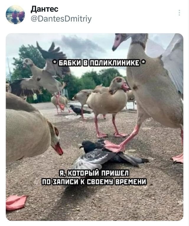 Боянчики. Некоторые даже актуальные