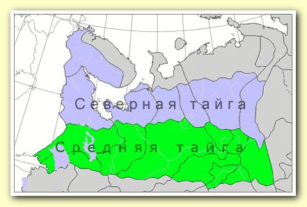 Вот похоже и всё...