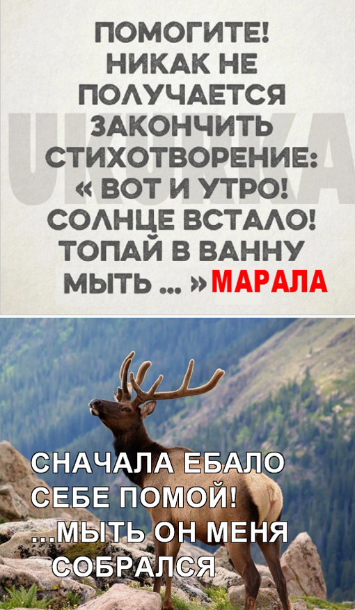 Завалялось тут случайно немного забавных картинок