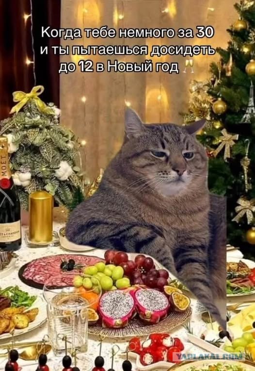 Веселые картинки в последний рабочий день уходящего года (28.12)