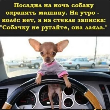 Завалялось тут случайно немного забавных картинок