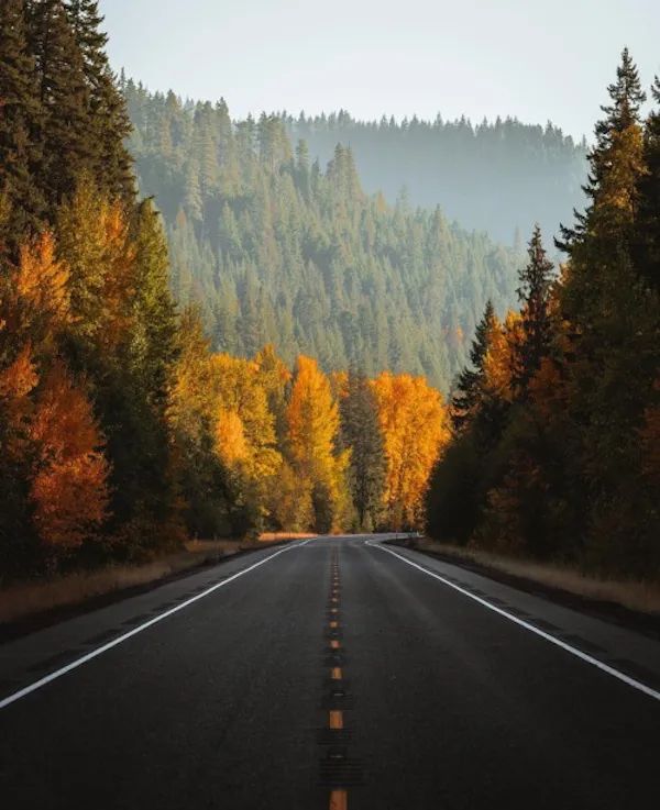 ФотоВинегрет