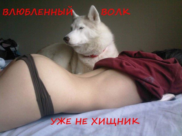 Завалялось тут случайно немного забавных картинок