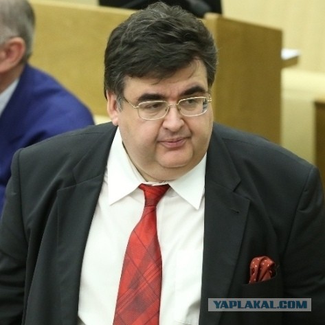 Депутат Госдумы Ирина Филатова объявила, что россияне с лишним весом — главные виновники экономического упадка страны