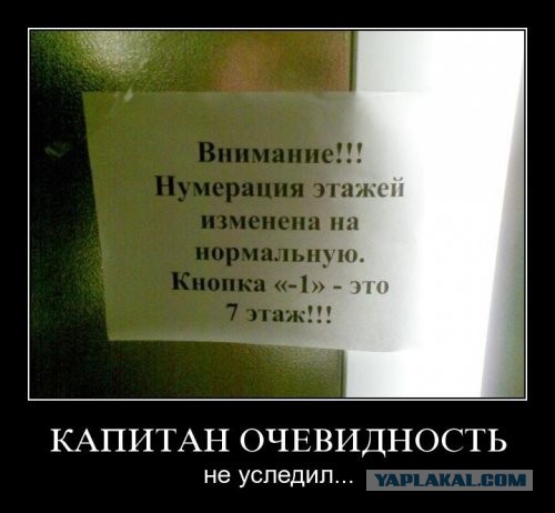 Раскопки архивов картинок.