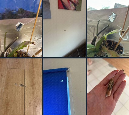 Беспилотники атаковали одно из предприятий Ижевска