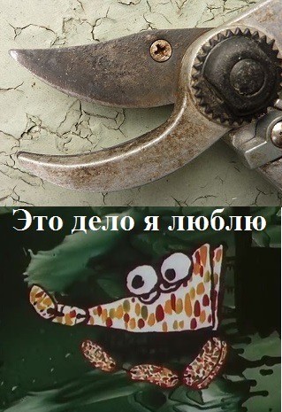 Веселое настроение в картинках (18.08.2025)