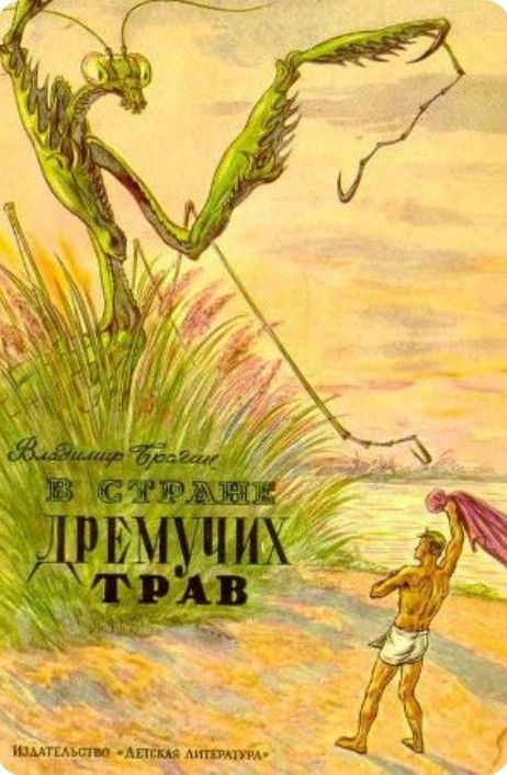 Чем питается божья коровка?