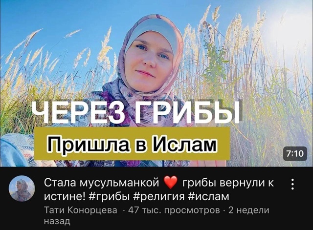 Так себе картинки 14.10.25